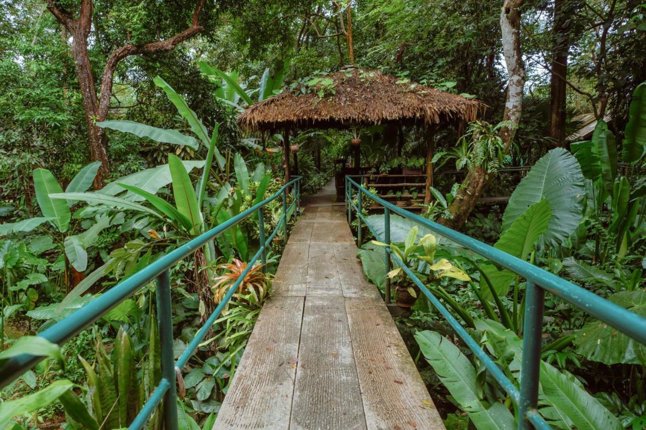 Khao Sok Riverside Cottages Khao Sok National Park Екстер'єр фото