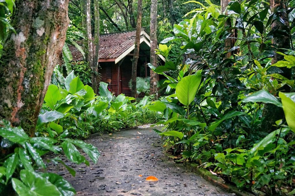 Khao Sok Riverside Cottages Khao Sok National Park Екстер'єр фото