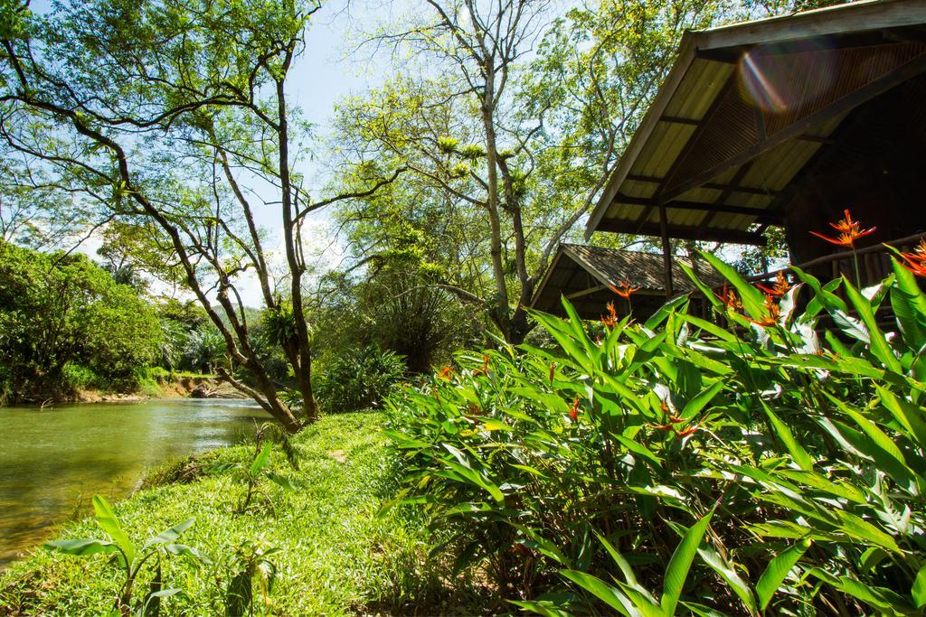 Khao Sok Riverside Cottages Khao Sok National Park Екстер'єр фото